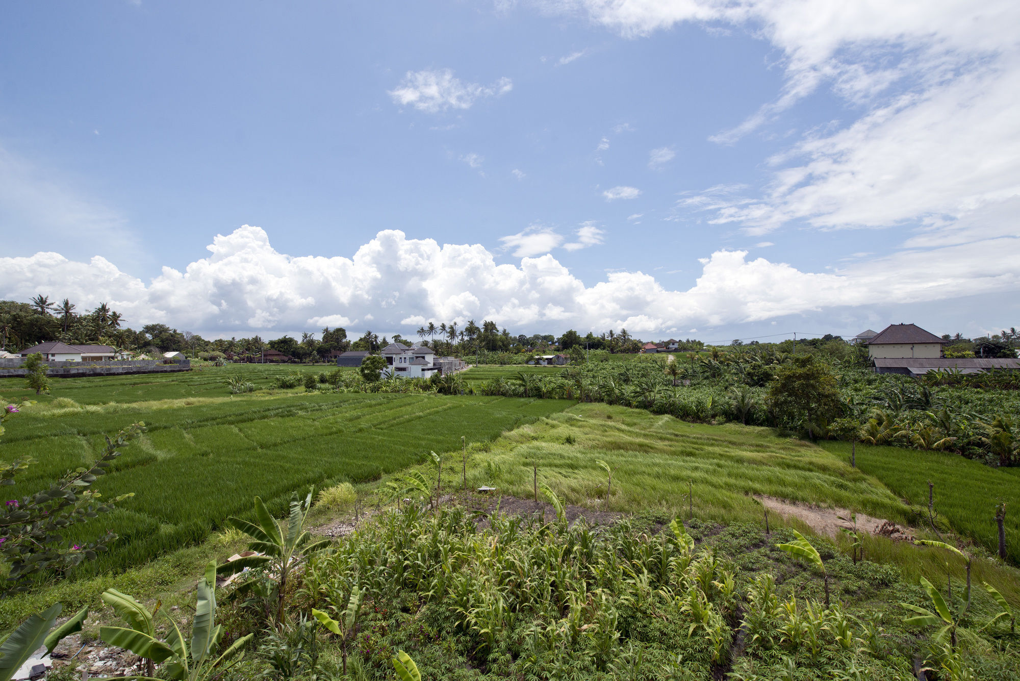 Paddy View Villa Kuta Lombok Extérieur photo