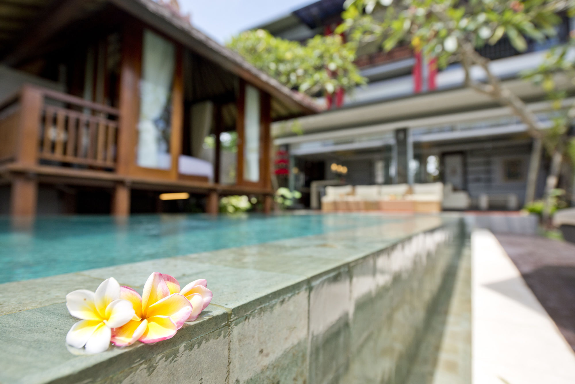 Paddy View Villa Kuta Lombok Extérieur photo